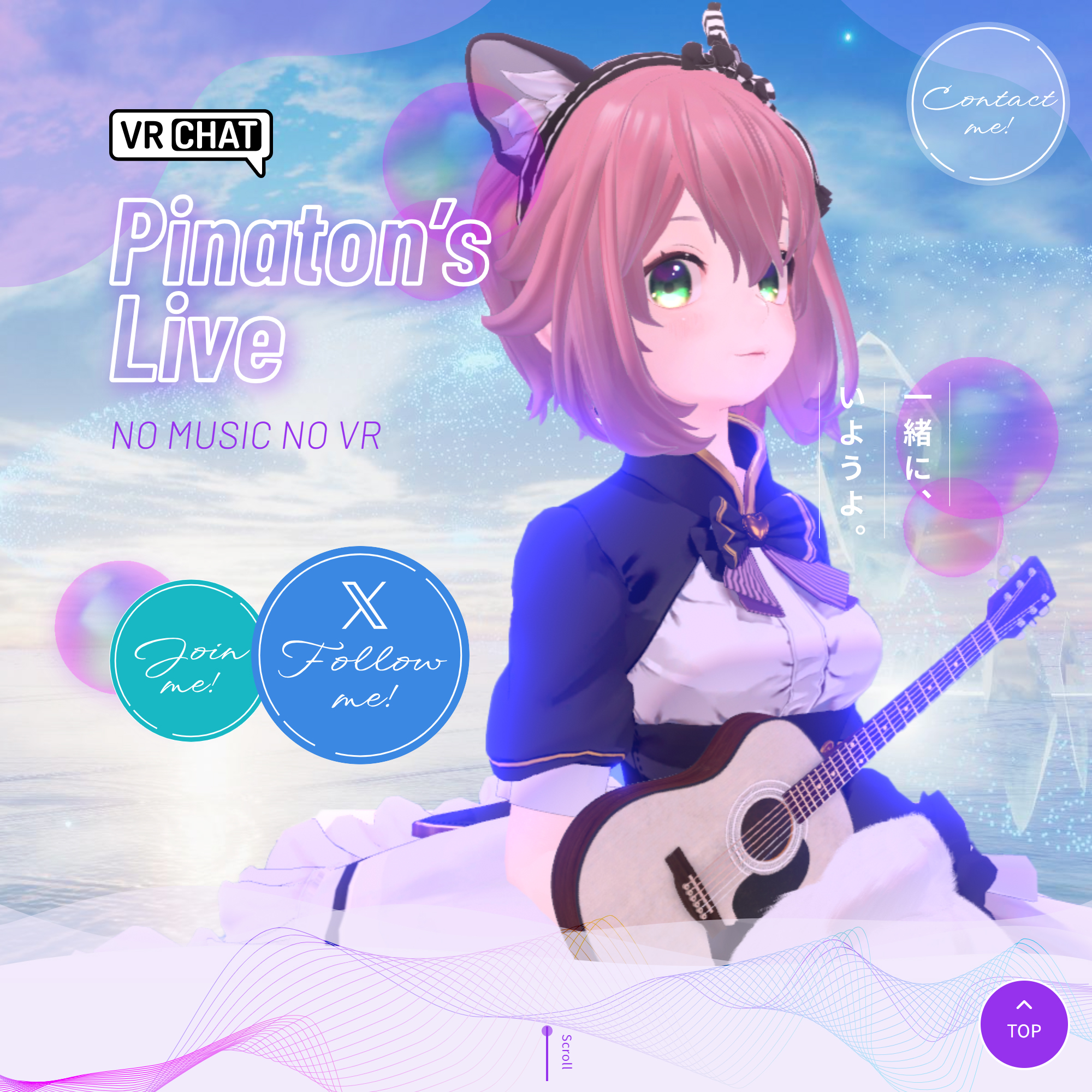 Pinaton's Live Webサイト